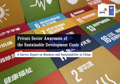 © UNDP China 2020