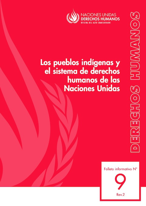 © Naciones Unidas Derechos Humanos 2013